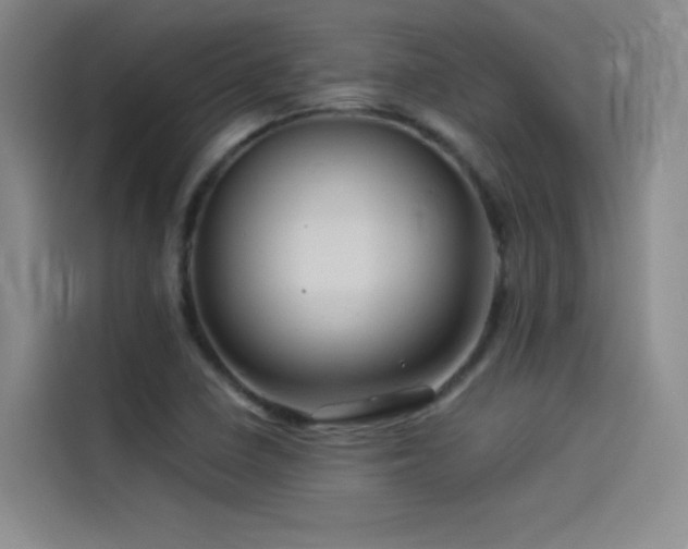 X0000114531410200910191313