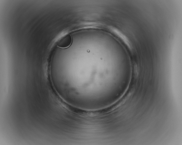 X0000114531411200910191313