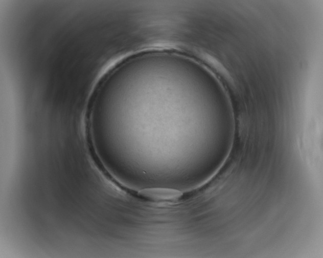 X0000114531412200910191313