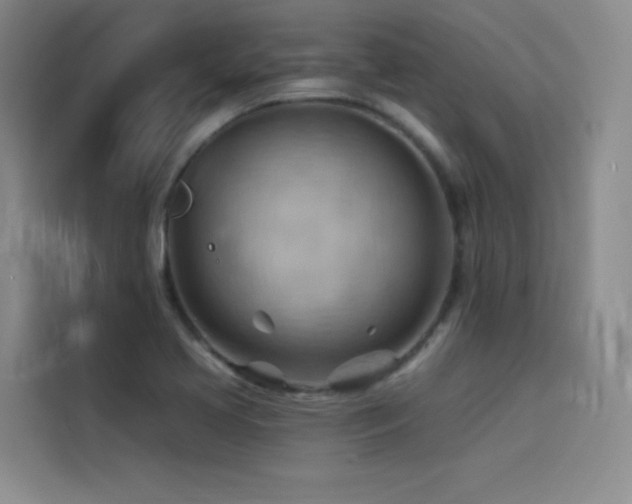 X0000114531413200910191313