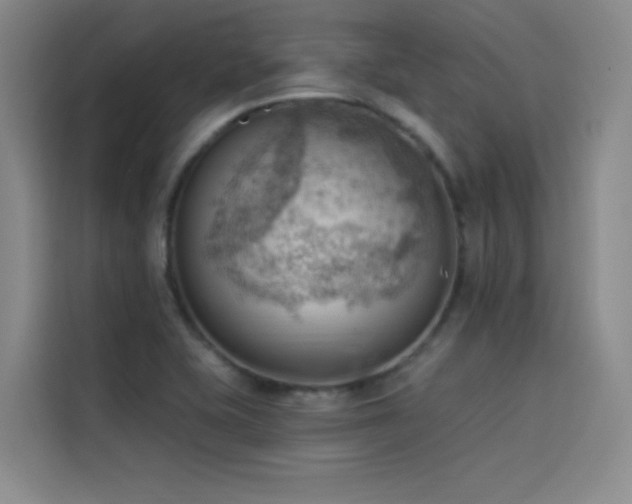 X0000114531415200910191313