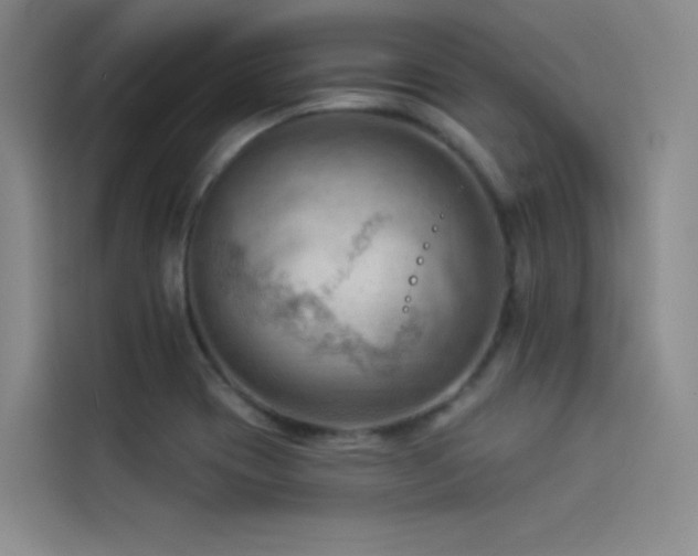X0000114531417200910191313