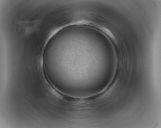 X0000114531420200910191313