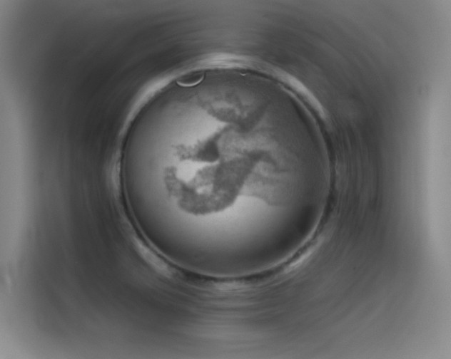 X0000114531421200910191313