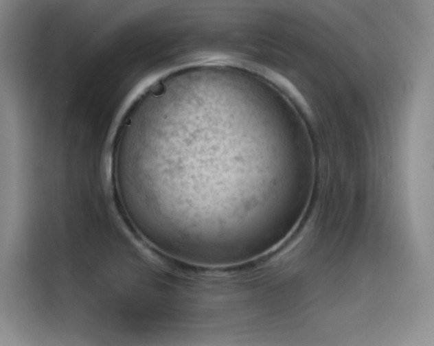 X0000114531424200910191313