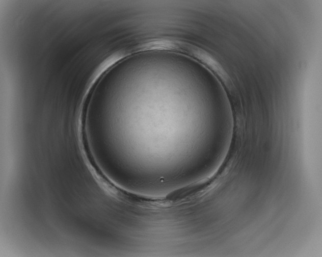 X0000114531426200910191313