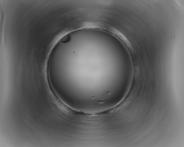 X0000114531427200910191313
