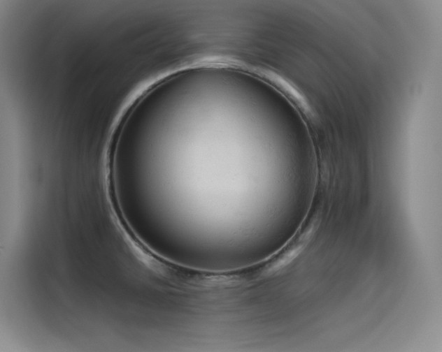 X0000114531430200910191313