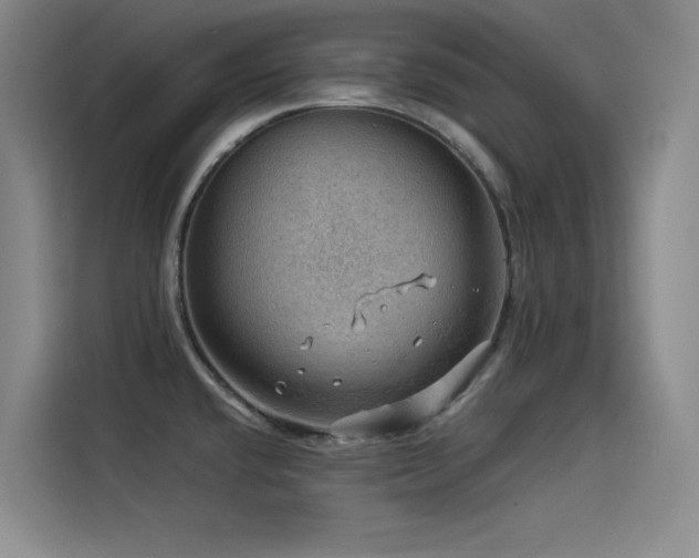X0000114531432200910191313