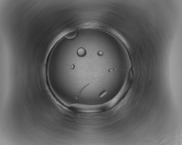 X0000114531434200910191313