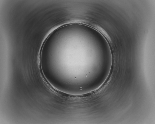 X0000114531436200910191313
