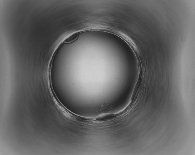 X0000114531439200910191313