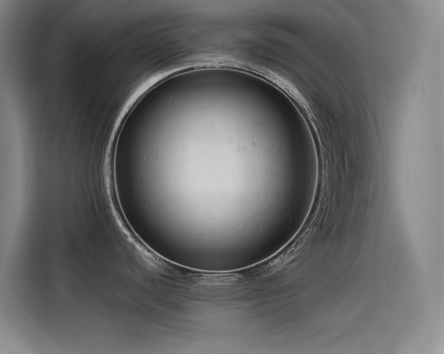 X0000114531440200910191313