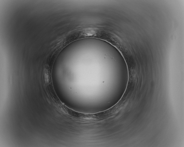 X0000114531442200910191312