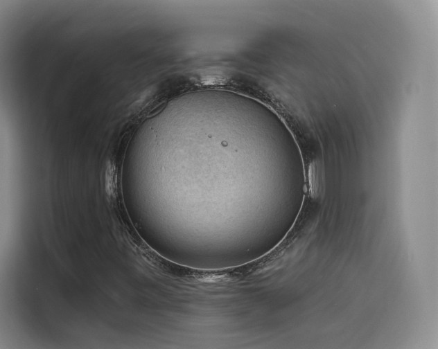 X0000114531443200910191312