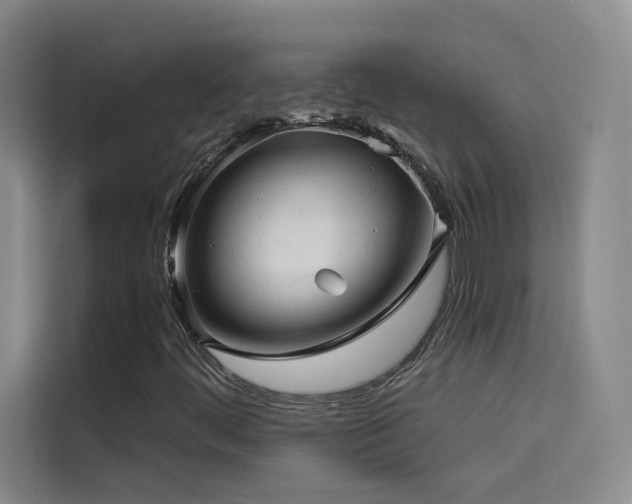 X0000114531444200910191312