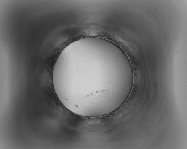 X0000114531446200910191312