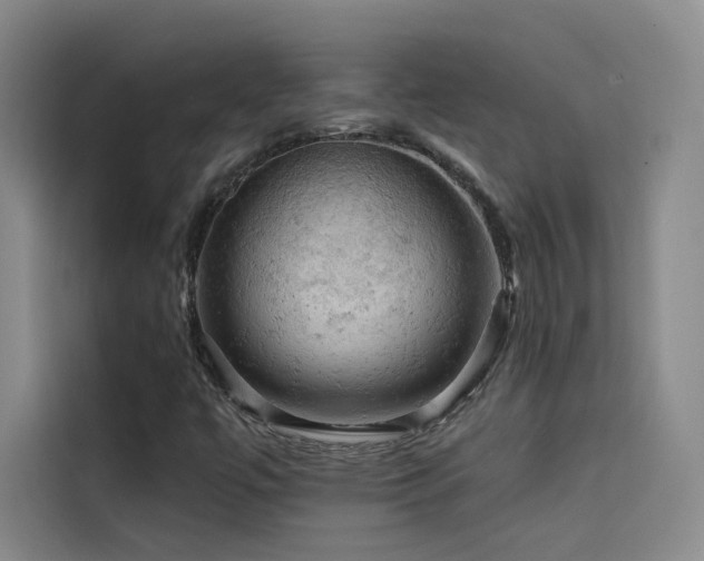 X0000114531447200910191312