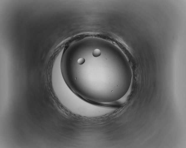 X0000114531448200910191312