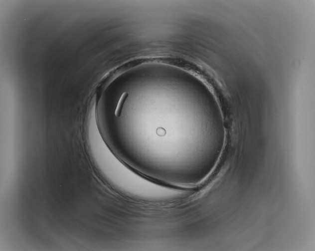 X0000114531449200910191312