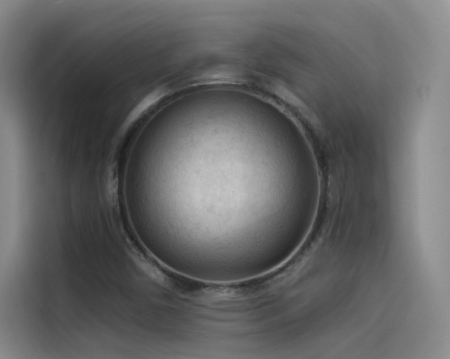 X0000114531450200910191312