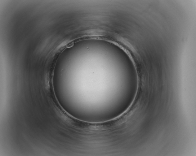 X0000114531451200910191312