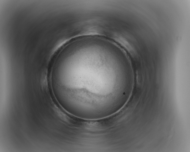 X0000114531452200910191312