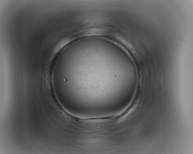 X0000114531453200910191312