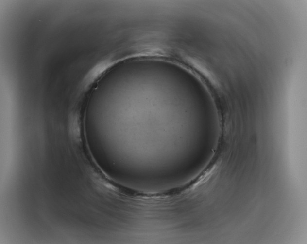 X0000114531455200910191312