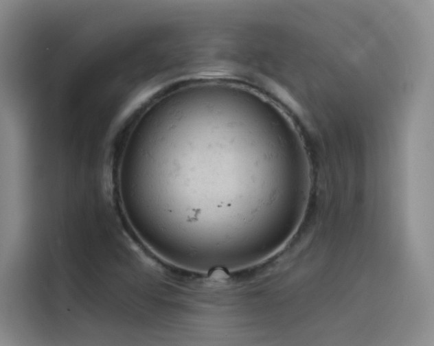 X0000114531456200910191312