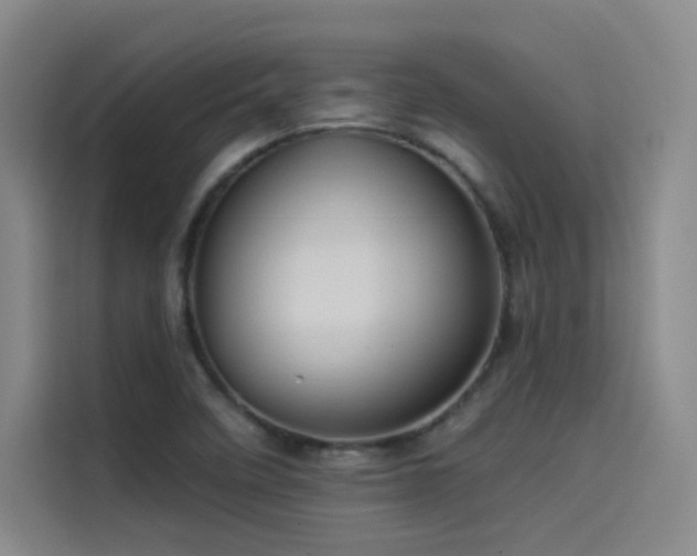 X0000114531458200910191312