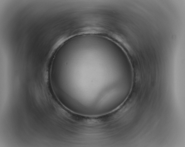 X0000114531459200910191312