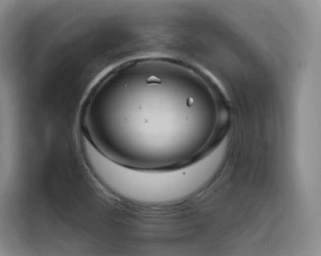 X0000114531460200910191312