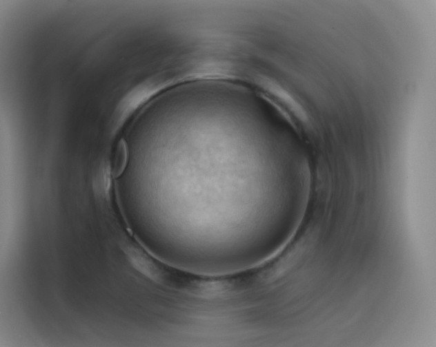 X0000114531461200910191312
