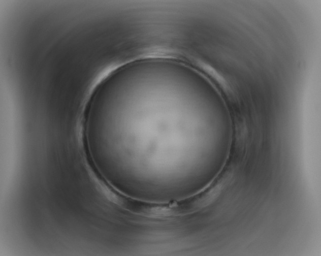 X0000114531463200910191312