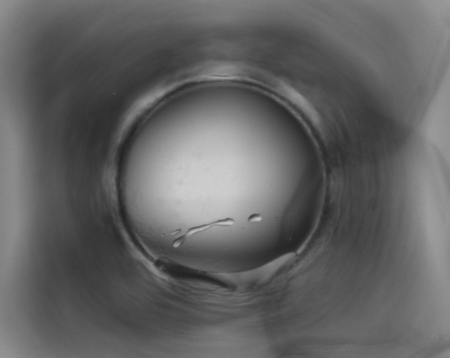 X0000114531464200910191312