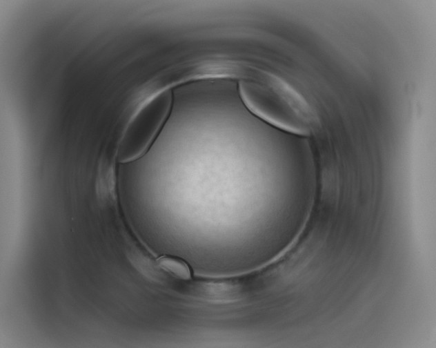 X0000114531465200910191312