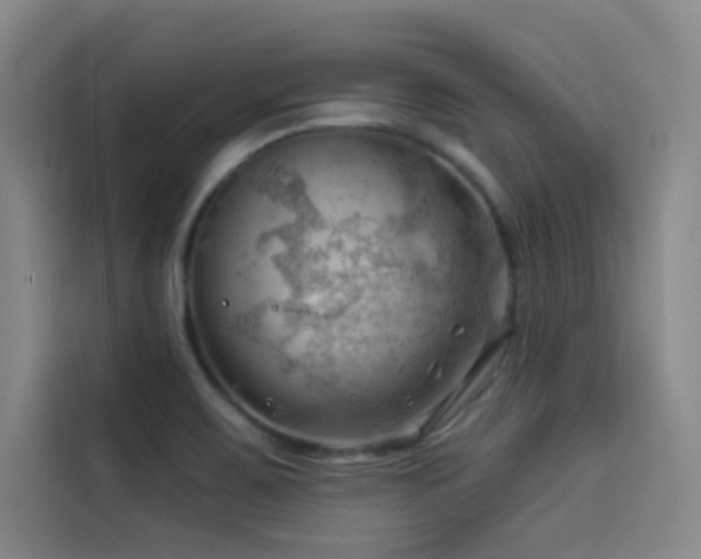 X0000114531467200910191312