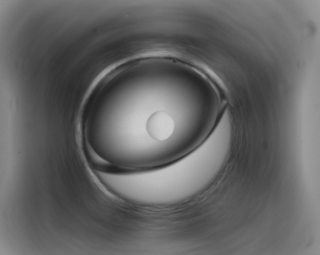 X0000114531468200910191312