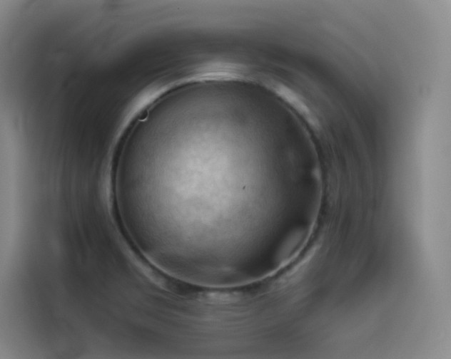 X0000114531469200910191312