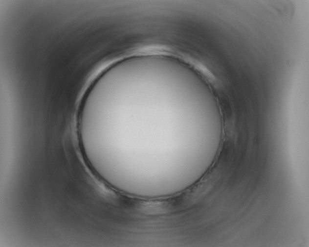 X0000114531470200910191312