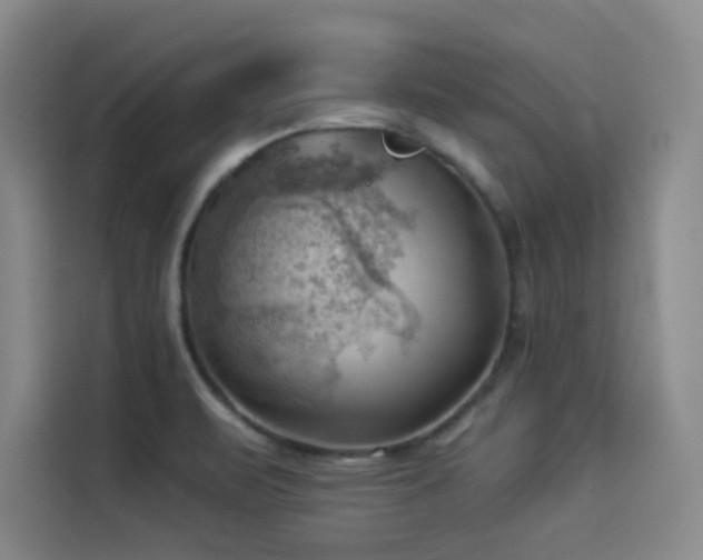 X0000114531471200910191312