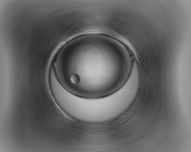 X0000114531472200910191312