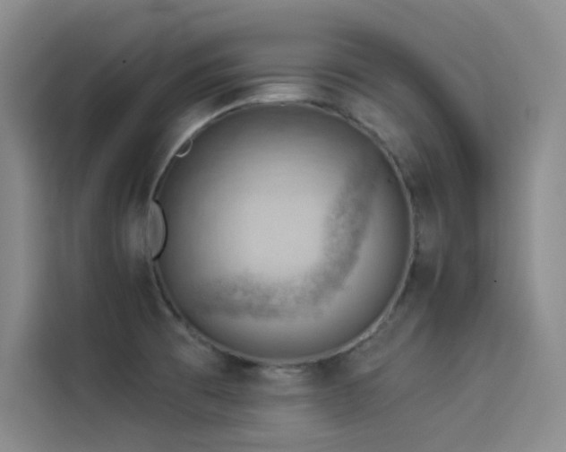 X0000114531473200910191312