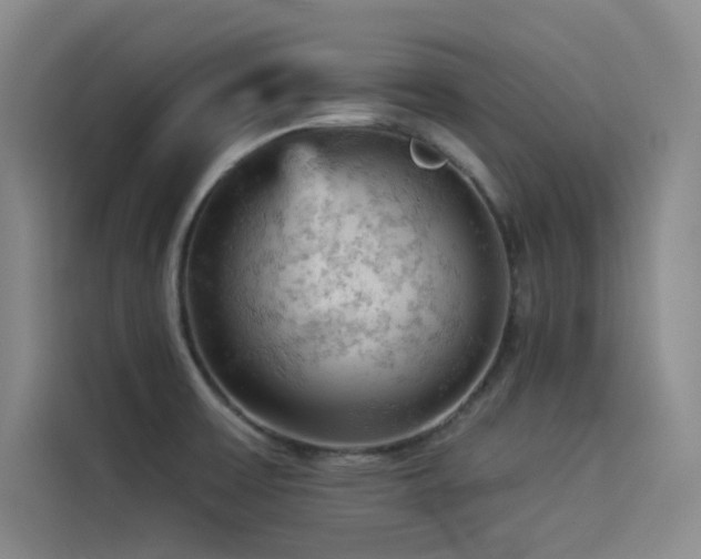 X0000114531475200910191312
