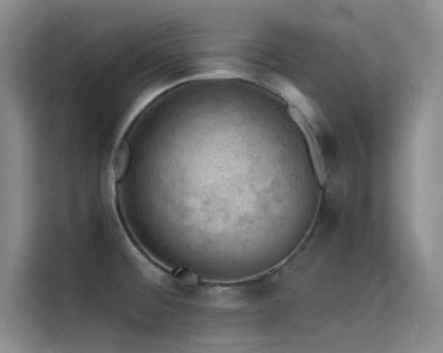 X0000114531476200910191312
