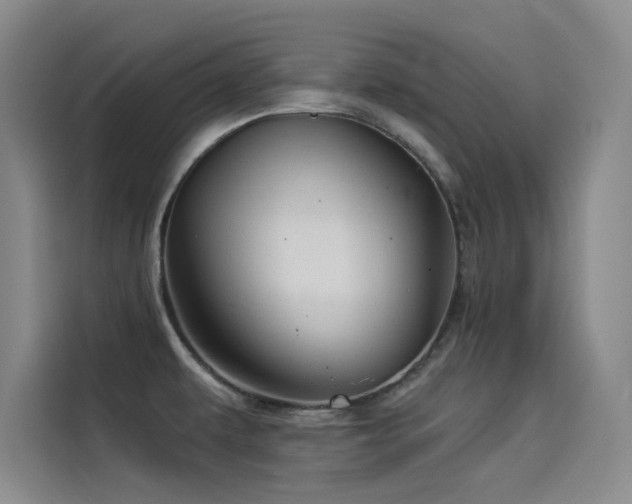 X0000114531479200910191312