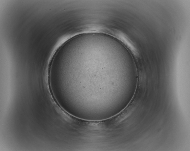 X0000114531480200910191312