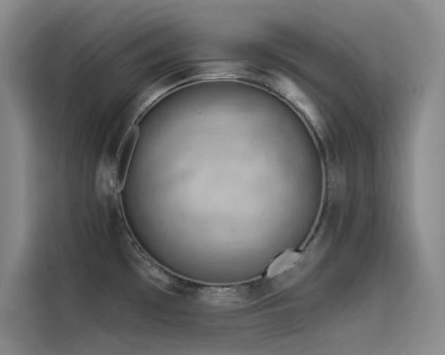 X0000114531481200910191312