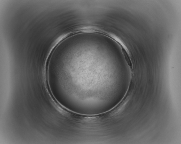 X0000114531482200910191312